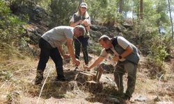 Zararlı Böceklere Karşı Biyolojik Mücadele