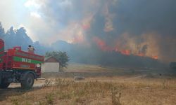 Ankara'da Başlayan Yangın Bolu'ya Sıçradı