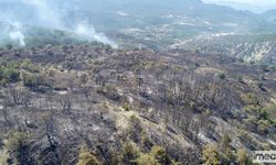 Bolu'daki Yangının Acı Bilançosu