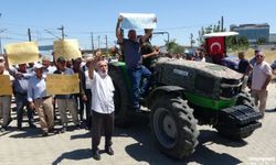 Malatyalı'nın Kayısı İsyanı: Bıçak Kemiğe Dayandı