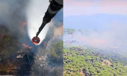 İzmir Bergama’da Çıkan Orman Yangını Kontrol Altına Alındı