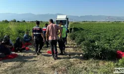 Küçük Kız Kamyonun Altında Can Verdi, Yakınları Şoförü Öldürdü