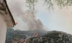 Muğla’da Orman Yangını