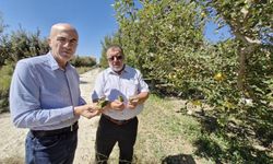 Kuyulardan tuzlu su çıkması çiftçileri tedirgin etti