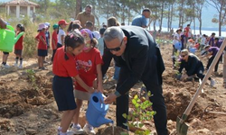 Mersin’de Geleceğe Nefes: Öğrenciler Orman Yangın Alanlarına Fidan Dikti