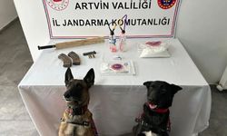 Jandarmanın Durdurduğu Aracın Farından Bakın Ne Çıktı!