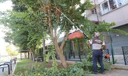 Akdeniz Belediyesi'nden parklarda temizlik ve bakım seferberliği