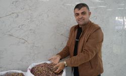 Antep Fıstığına Dubai Çikolatası Etkisi