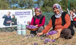 Yenişehir Belediyesi’nden Safran ve Çevre Dostu Tarımda Örnek Proje