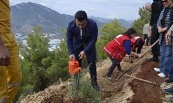 Milli Ağaçlandırma Günü'nde Karbon Zengini Tohumlar Toprakla Buluşturuldu