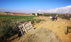 Toprak Yüklü Kamyon Zeytin Bahçesine Devrildi