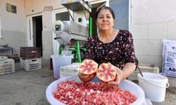 Büyükşehir Belediyesinden Üreticiye 'Nar Taneleme Makinesi' Desteği