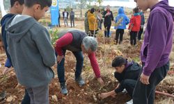 Öğretmenler Günü Anısına 300 Fidan Toprakla Buluşturuldu