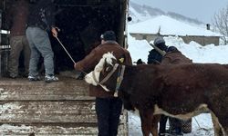 Kar Nedeniyle Yaylada Mahsur Kalan Vatandaşlar Kurtarıldı