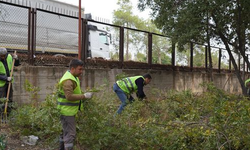 Erdemli Belediyesi’nden Ekoturizme Büyük Adım