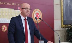 Chp'li Serkan Sarı'dan 2025 Bütçesine Sert Eleştiriler