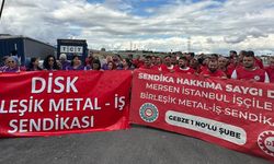 Birleşik Metal-İş, 4 Fabrikada Grev Başlatıyor