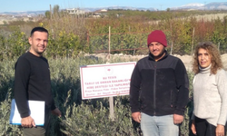 Uzman Eller Projesi Denetimleri Tamamlandı