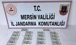 Mersin'de Sahte Dolarlar Ele Geçirildi