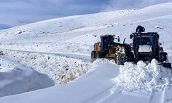 Van, Hakkari, Bitlis ve Muş'ta 523 Yerleşim Yerinin Yolu Kapandı