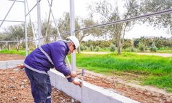 Tarsus Belediyesi’nden Kadınlara Tarımda Yeni Bir Kapı: Hidroponik Sera Tesisi