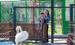 Tarsus Doğa Parkı, Yarı Yıl Tatilinde Çocukları Ağırlıyor