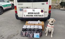 Narkotik Köpeği Yasaklı Madde Buldu: 3 Gözaltı