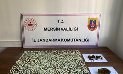 Mersin'de Yasaklı Madde Operasyonu: 3 Tutuklama