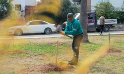 Yenişehir'de Anlamlı Fidan Dikimi