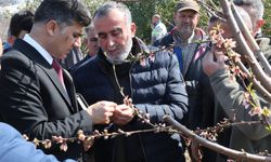 Başkan Vekili Şener'den, Üreticilere Ziyaret