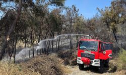 Mersin'de Orman Yangını: 1,5 Hektar Alan Zarar Gördü