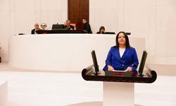 Çayırhan’daki Özelleştirme Tartışmaları Sırasında AKP’li Vekilden Tepki Çeken Sözler
