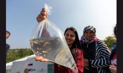 20 Kadın Girişimci Haşereyle Mücadelede Lepistes Balığı Yetiştirecek