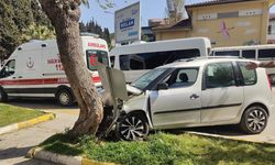 Tansiyonu Düşen Sürücü, Yayalara Çarpmamak İçin Ağaca Çarptı