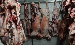 Adana'da 2,5 Ton At Eti Ele Geçirildi