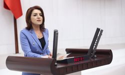 CHP'li Kış: Milyonlar Borç Batağında, Sarayda Hâlâ Şatafat Var!