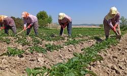 Çiftçilere Destek Mesajı: “Üreticinin Yanındayız”