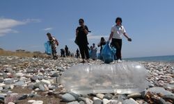 Caretta Carettaların Yuvalama Alanları Temizlendi