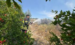 Mersin'de Çalılık Alanda Çıkan Yangın Korkuttu
