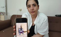 Kayıp Kedi İçin 15 Bin Lira Ödül: “Bulunmazsa Eşim Beni Boşayacak”