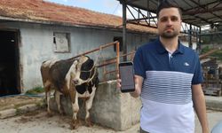 Sosyal Medyada Gördüğü Kurbanlıklar İçin 200 Bin TL Gönderdi, Dolandırıldı