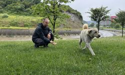 Bankada Uyuyakalan Köpek Alarmı Devreye Soktu, Mahalle Ayağa Kalktı