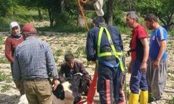 Mersin'de 10 Metrelik Su Kuyusuna Düşen Danayı İtfaiye Kurtardı