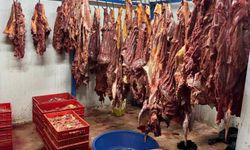 Adana'da Depoda 3 Ton Bozulmuş At Eti Ele Geçirildi
