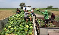 Mersin'de Karpuz Hasadı Başladı