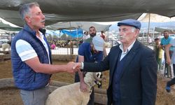 Bayram Yaklaştı, Kurban Pazarında Kıran Kırana Pazarlık Başladı