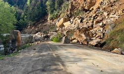 Heyelan Sebebiyle Yol Kapandı
