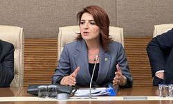 CHP'li Kış: “Çiftçimizin Gözü Kulağı Bu Komisyonda”