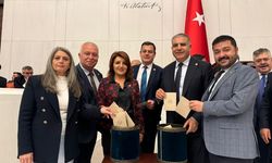 CHP’li Kış’tan RTÜK Seçimi Mesajı