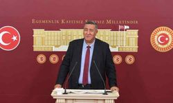 CHP’li Gürer: 'Sinir Sistemi Üzerinde Olumsuz Etkisi Olan Olan Çin Tuzunun Ülkemizde Kullanımı Devam Ediyor'